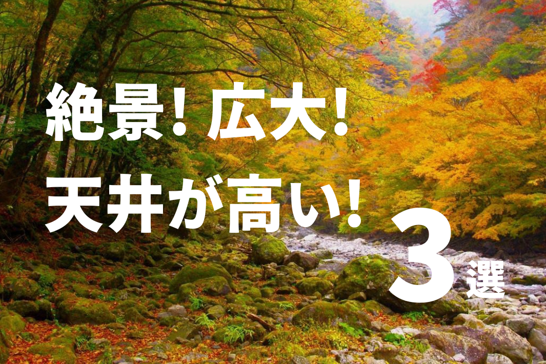 絶景！広大！天井が高い！特徴のある施設３選